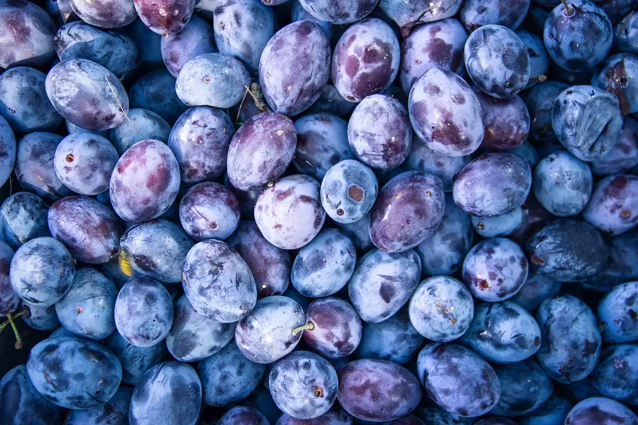 I cibi sorprendenti che non sono vegani (e cosa mangiare invece)